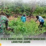 Aksi Nyata Babinsa Dawai, Dampingi Warga Buka Lahan Padi Ladang