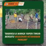 Babinsa Dawai Bersama Warga Gelar Penanaman Padi Perdana, Wujudkan Ketahanan Pangan di Yapen Timur